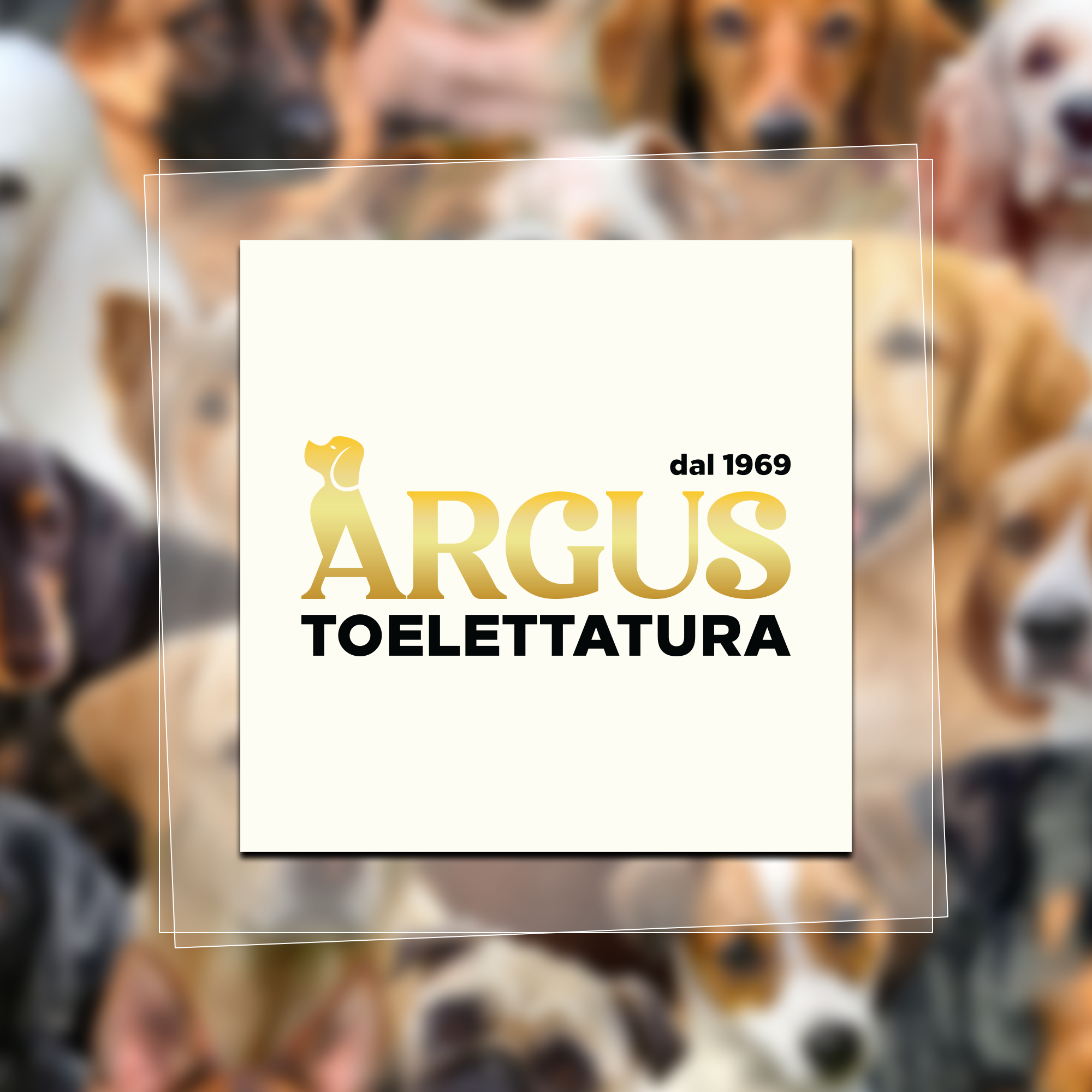 Logo Argus